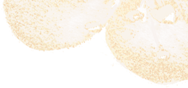 书香七夕·晒书雅集丨到图书馆邂逅别样浪漫