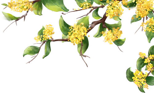 活动报名丨家长们注意！首期周末公益分享课即将上线